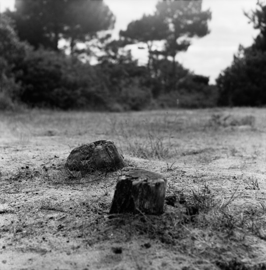 Sablé avec pépites