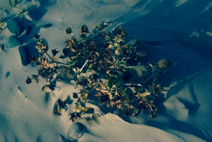 septembre